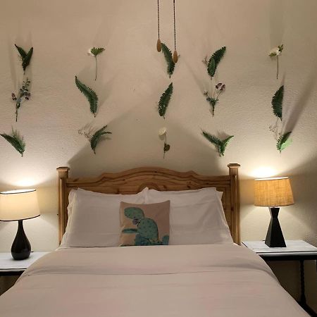 The Lodge At Cypress Falls Wimberley Exteriér fotografie